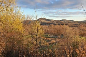 thumbnail: View from property