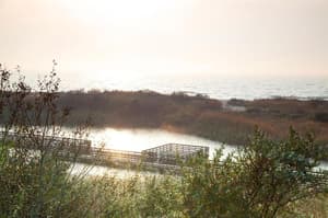 thumbnail: General view