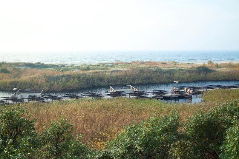 General view