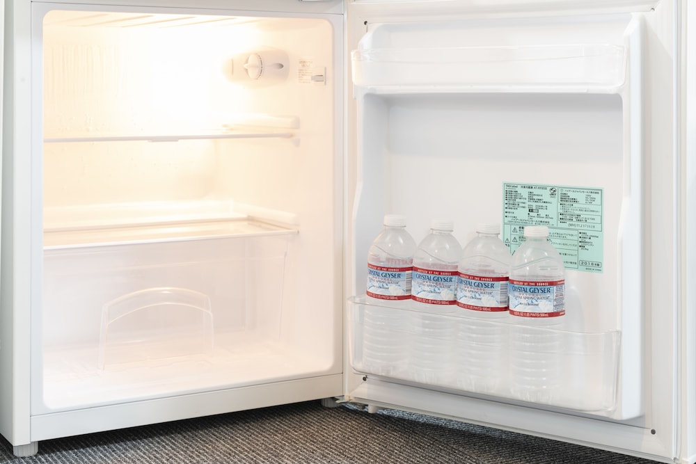 Mini-refrigerator