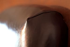 thumbnail: Interior detail