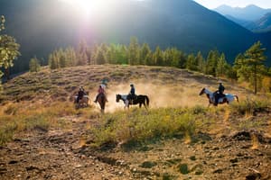 thumbnail: Horseback riding