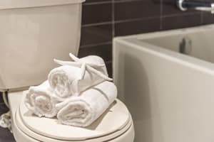 thumbnail: Bathroom amenities