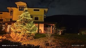 thumbnail: 623003878.jpg