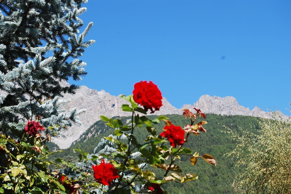 Mountain view