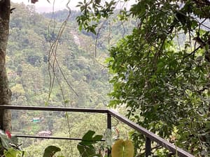 thumbnail: Front of property