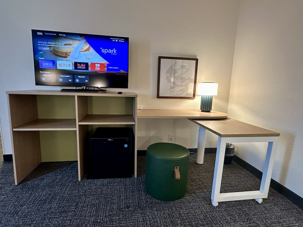 Television