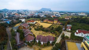 thumbnail: General view