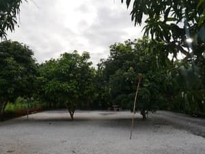 thumbnail: View from property