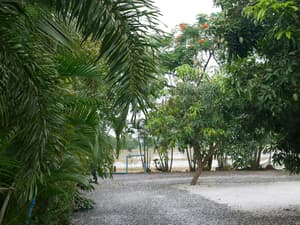thumbnail: View from property