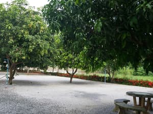 thumbnail: View from property