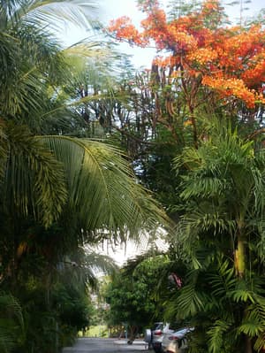 thumbnail: View from property