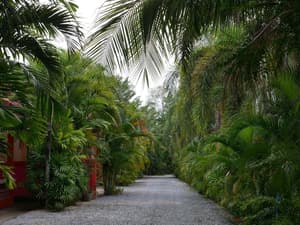 thumbnail: View from property