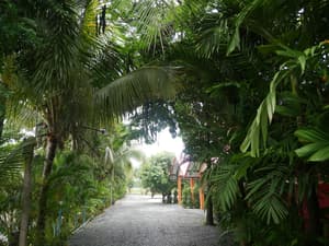 thumbnail: View from property