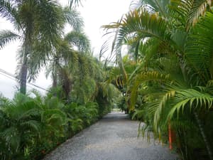 thumbnail: View from property