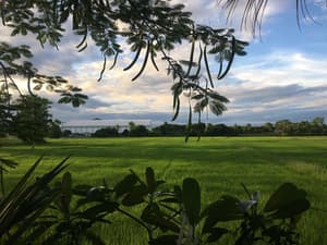 thumbnail: View from property