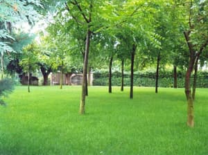 thumbnail: Garden