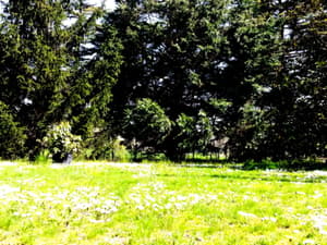 thumbnail: Garden