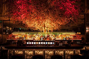 thumbnail: Bar (on property)