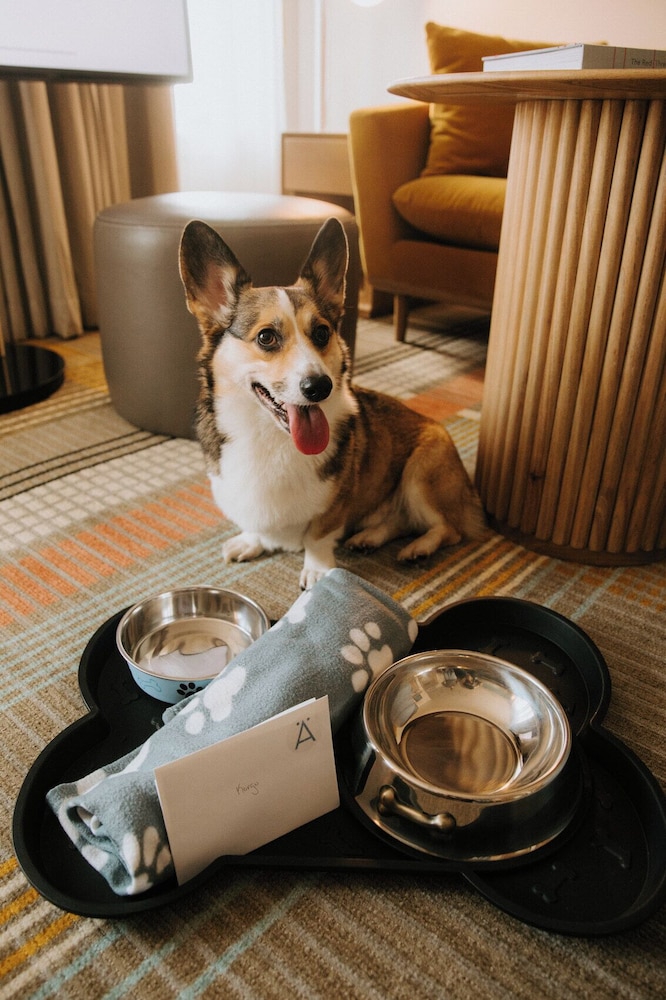 Pet-friendly amenities