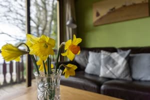 thumbnail: Living room