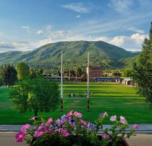 thumbnail: General view