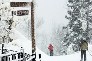 thumbnail: Skiing