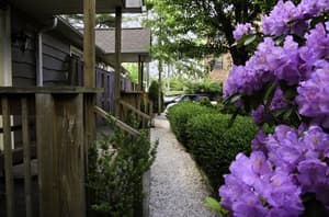 thumbnail: Property grounds