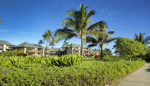 thumbnail: Property grounds