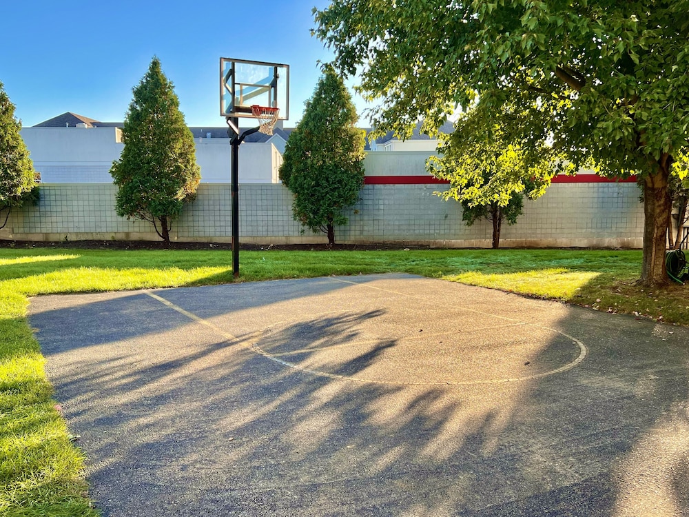 Basketball court