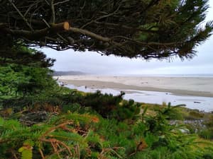 thumbnail: View from property