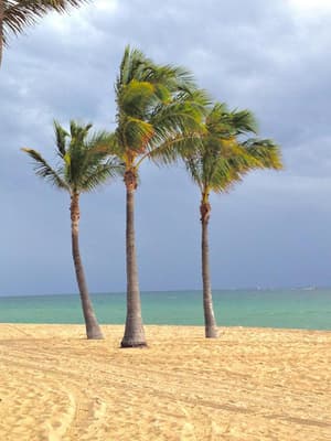 thumbnail: General view
