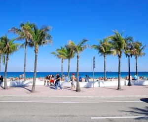 thumbnail: General view