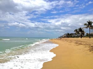 thumbnail: General view