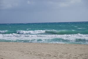 thumbnail: General view