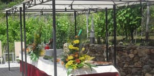 thumbnail: Gazebo