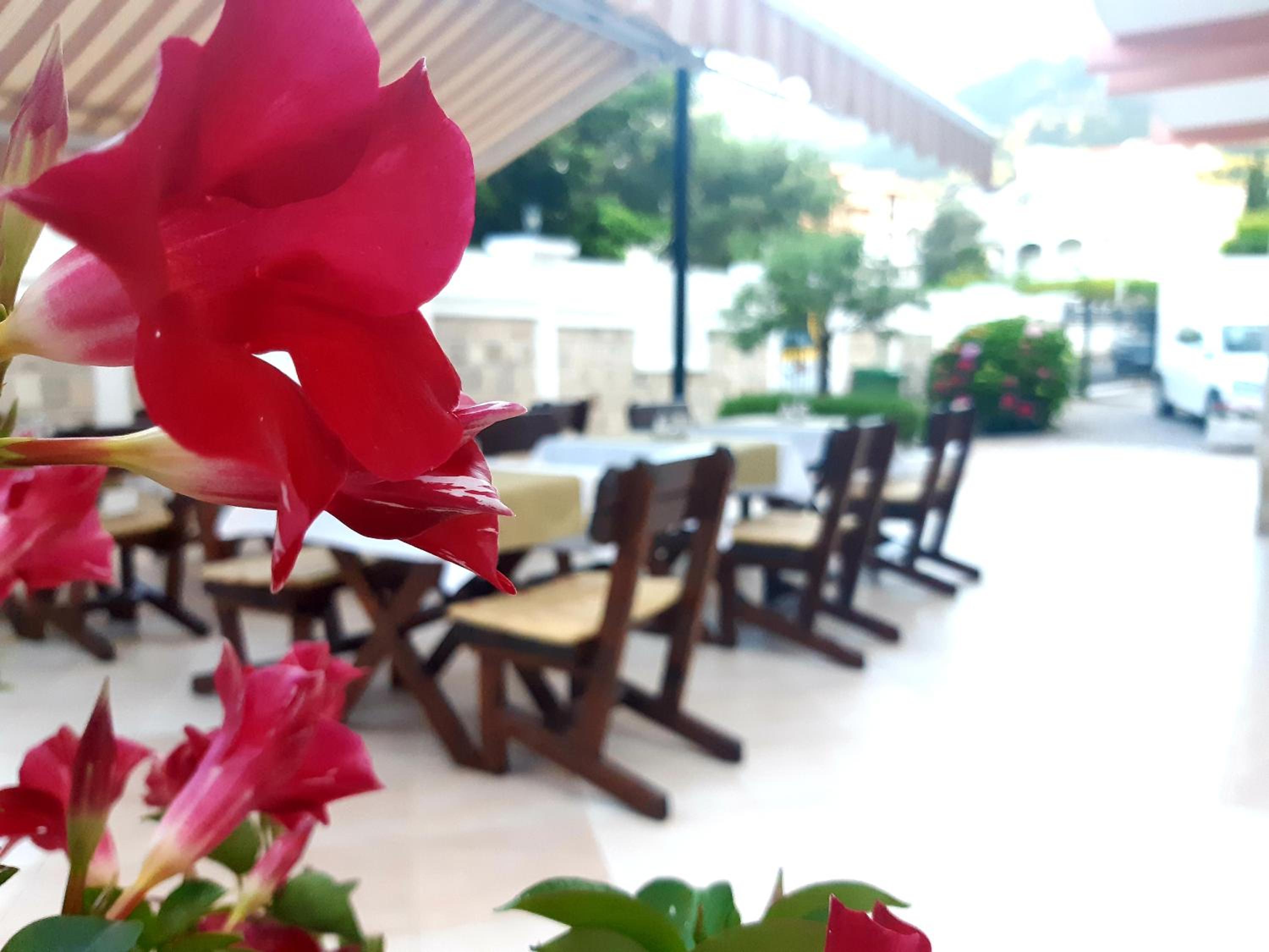 Restaurant-cafeteria