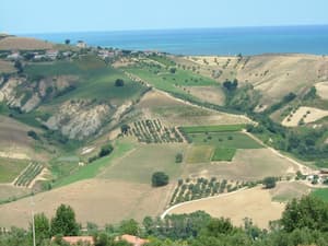 thumbnail: Aerial view