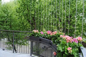 thumbnail: Garden