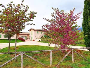 thumbnail: Property grounds