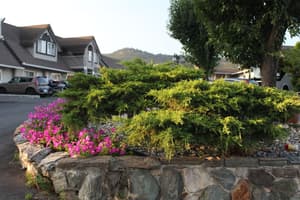 thumbnail: Garden