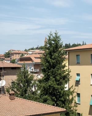 thumbnail: General view