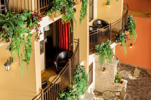 thumbnail: Interior