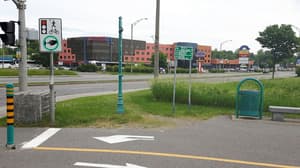 thumbnail: Bicycling