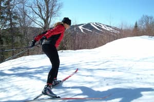 thumbnail: Skiing