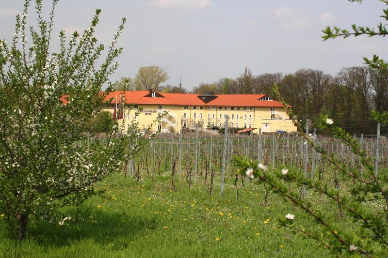 General view