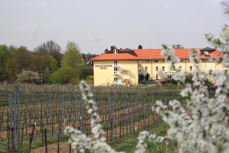 General view
