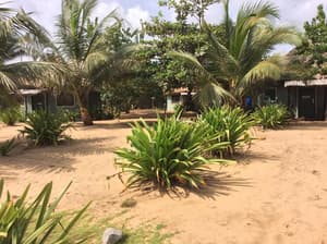 thumbnail: Beach