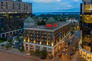 Buffalo thumbnail
