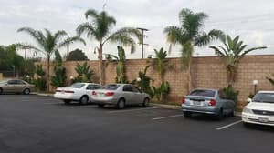 thumbnail: Property grounds